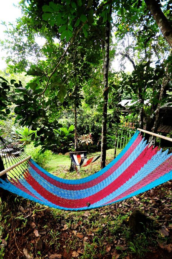 Rio Tico Safari Lodge Punta Mala Exteriör bild