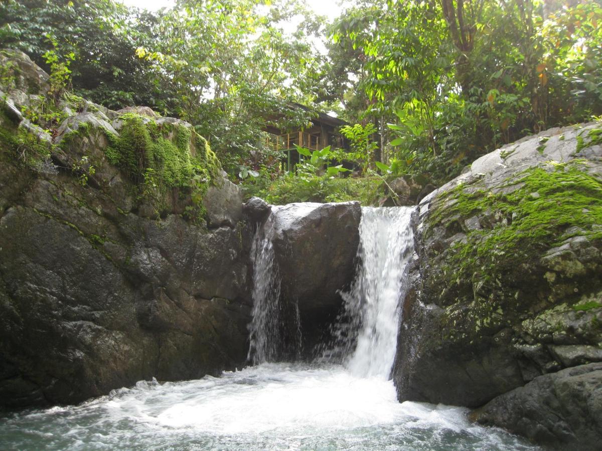 Rio Tico Safari Lodge Punta Mala Exteriör bild