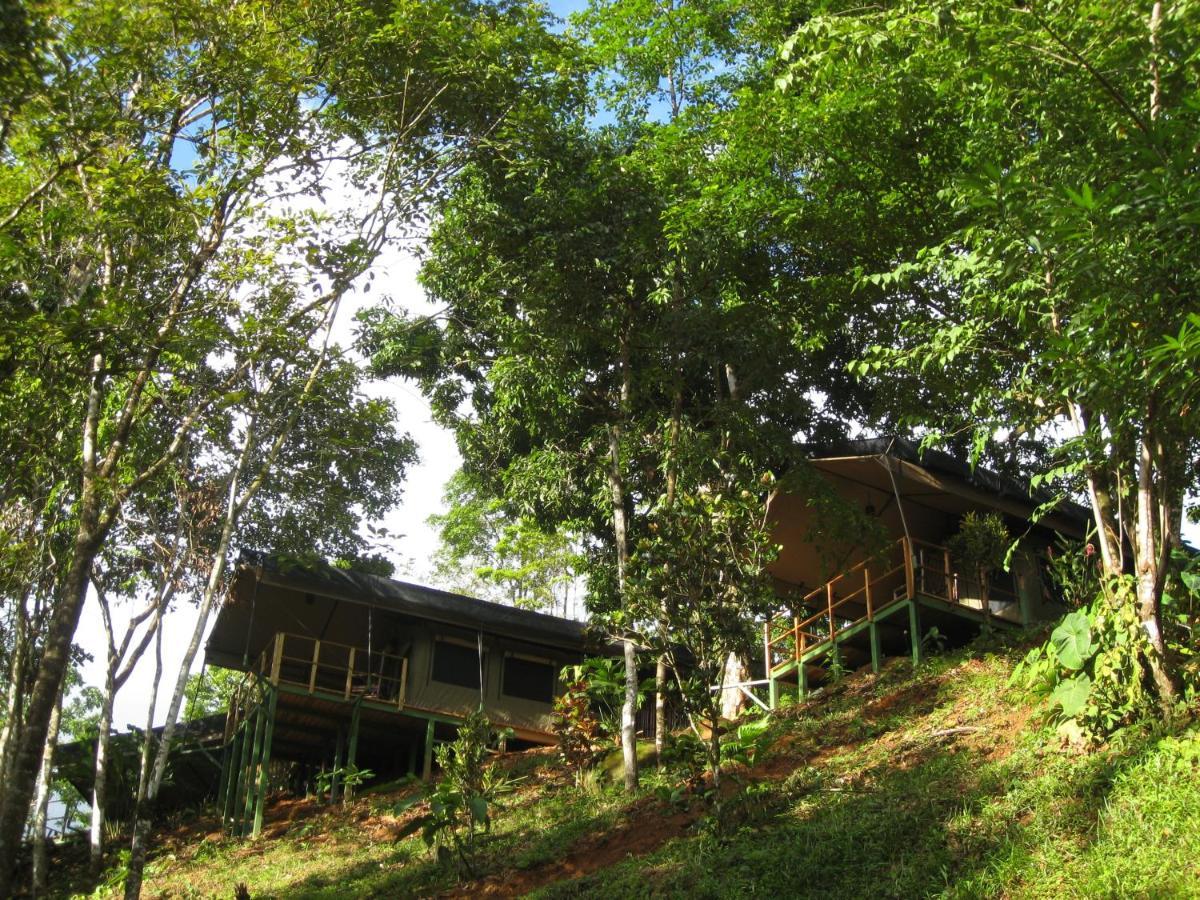 Rio Tico Safari Lodge Punta Mala Exteriör bild