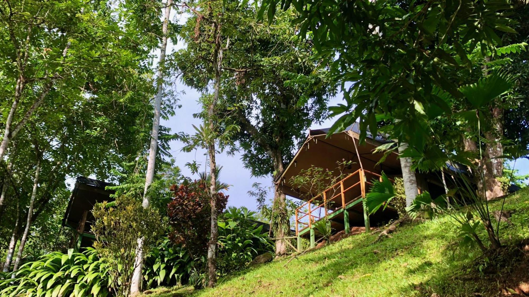 Rio Tico Safari Lodge Punta Mala Exteriör bild